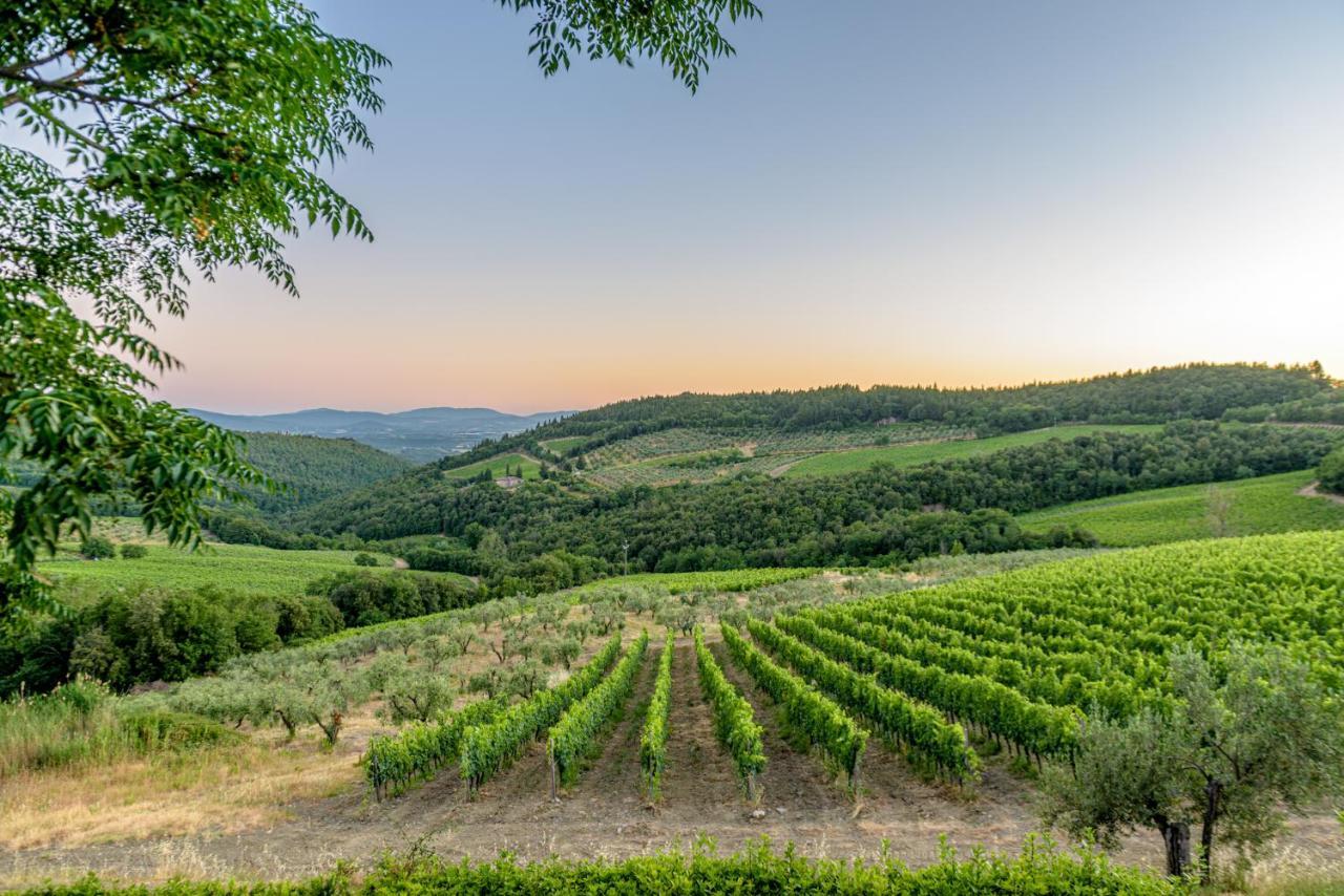 Agriturismo Concadoro Villa Castellina in Chianti Exterior photo